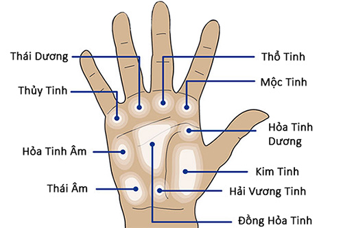 vi tri not ruoi trong long ban tay noi gi ve ban Xem nốt ruồi: Vị trí nốt ruồi trong lòng bàn tay nói gì về bạn