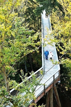 bavariatreetopwalk2 d7df5 Cùng nhìn qua những cung đường đi trên ngọn cây dài nhất thế giới