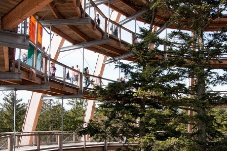 Cùng nhìn qua những cung đường đi trên ngọn cây dài nhất thế giới bavariatreetopwalk6 21bd3 Cùng nhìn qua những cung đường đi trên ngọn cây dài nhất thế giới