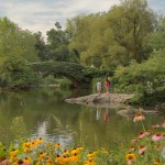 [Clip] Đến thăm công viên trung tâm – Central park, Manhattan